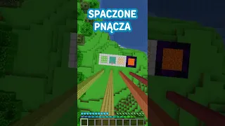 Z Jak WYSOKA można ŚPAŚĆ w MINECRAFT? 🤔 #shorts