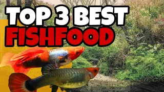 Top 3 Best fish food for your Guppies