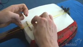 How to insert a Koma for Tsugaru Shamisen - Bachido