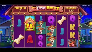 First €1,000 Buy Bonus MAJOR LOSS !!!  The Dog House Megaways Slot 🔥  #gaming #casino #slots #slot