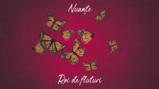 Nuanțe - Roi De Fluturi