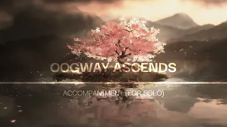 KUNG FU PANDA - OOGWAY ASCENDS - Hans ZIMMER (Accompaniment for solo)