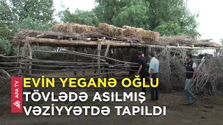 Axşam toya getdi, səhər tövlədə ölü tapıldı - APA TV