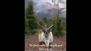 The Nature creation #nature #viral #deer #sky #shorts #trending #subhanallah #islam #muslim #sub