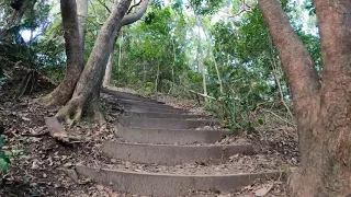 A "Secret" Walk to The Lighthouse Byron Bay #TallowRidgeTrack #ByronBay #Australia #Treadmill #4K