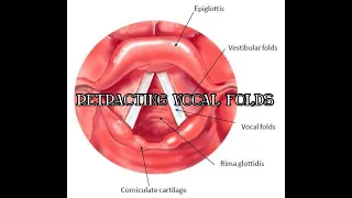 How do you “retract” your false vocal folds?