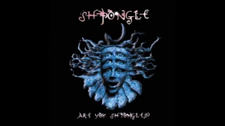 Shpongle - Behind Closed Eyelids (Remastered) | Chill Space