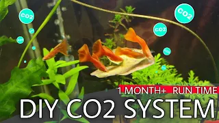 Try This Long Lasting DIY CO2 SYSTEM For Your Planted Aquarium