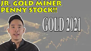 Will This Junior Gold Miner go Higher in 2021 with Higher Gold Prices?!