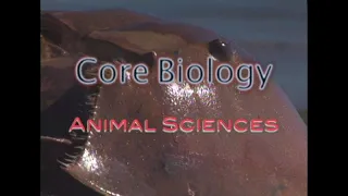 Core Biology: Animal Sciences (Accessible Preview)