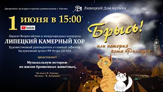 БРЫСЬ! или история кота Филофея