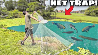 NET TRAP CATCHES TONS Of FISH For My BACKYARD POND!