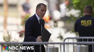 Judge in Hunter Biden's gun charges case rules on what can be referred to during trial