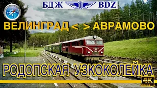 РОДОПСКАЯ  УЗКОКОЛЕЙКА, САМАЯ КРАСИВАЯ ЖЕЛЕЗНАЯ ДОРОГА БОЛГАРИИ И ЕВРОПЫ. #РОДОПСКАТЕСНОЛИНЕЙКА.