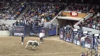 Western Stock Show, Denver CO 1/11/2020