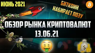 Обзор рынка криптовалют 13.06.21. Июнь 2021. Падение альткоинов продолжается? Хомяки опять в панике!