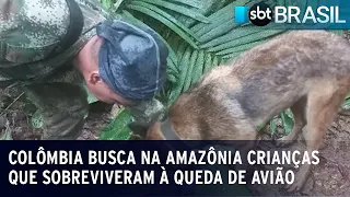 Colômbia busca na Amazônia crianças que sobreviveram à queda de avião | SBT Brasil (18/05/23)