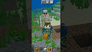 What If ?! Iron Golem In The Water 🙄😱😱 #mrnull #shorts #minecraft