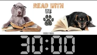 30 Minute Reading Books with Dogs Countdown Timer Background (Silent)