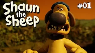 The Stand Off | Shaun the Sheep Season 3 | Full Episode