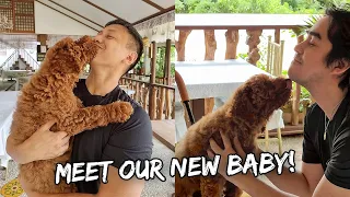 Meet Our New Third Dog "RIZAL" - Aug. 7, 2021 | Vlog #1293