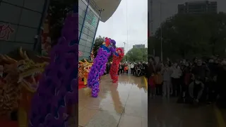 La danza de los dragones. Año Nuevo Chino 2022