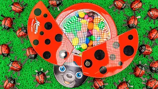 Magic Satisfying Video | Color LadyBug Full of Yummy Candy with Rainbow Soccer Ball Slime ASMR