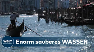 CORONA-WUNDER IN ITALIEN: Das Meer hat sich viel stärker erholt als erwartet