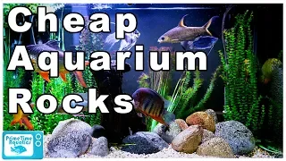 Stop Wasting Money on Aquarium Rocks! Cheapest Way to Buy Rocks for Your Fish Tank