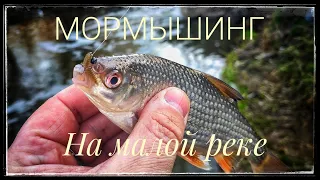 Мормышинг ! Плотва и уклейка на мормо ! Малая река Подмосковья