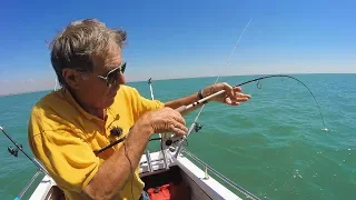 Lunker Bass Fishing - With Lures & Bait