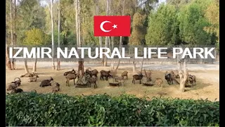 WALKING TOUR IN IZMIR NATURAL LIFE PARK, SASALI ZOO, İZMİR DOĞAL YAŞAM PARKI