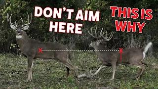 String Jumping - Picking an Aim Point is Not Simple | Bowhunting Whitetails w/ Bill Winke