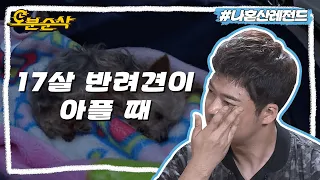 [#나혼자산다] 현무의 가족이자 반려견인 17살 또또🐕 그리고 또또를 향한 현무의 애틋한 눈물 | 나혼자산다⏱오분순삭 MBC180511방송