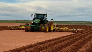 Listing Beds for Peanuts