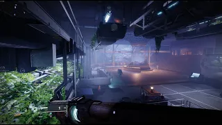 Bungie ACTUALLY Broke it! ABUSE THIS GLITCH ASAP!!! (Before It's Fixed)