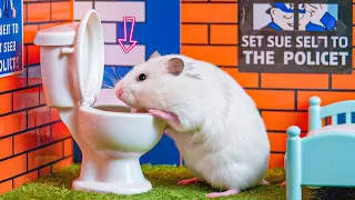 Hamster Escapes the Most Difficult Prison Maze Ever | Great Maze