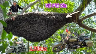 #1153. KHAI TRƯƠNG Mô Tô 1700cc Trúng Mánh 3 Tổ Ong. OPENING MOTORCYCLE Winning 3 Honeycomb Tricks