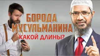 ДЛИНА БОРОДЫ МУСУЛЬМАНИНА ~  ДОКТОР ЗАКИР НАЙК | ZAKIR NAIK