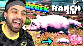 DOĞUM YAPTI ! 7 TANE YAVRUMUZ OLDU 😱 RANCH SİMULATOR 2