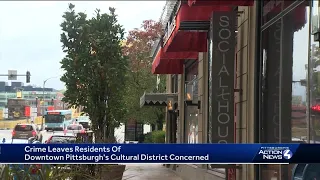 Crime leaves residents of Downtown Pittsburgh's Cultural District concerned