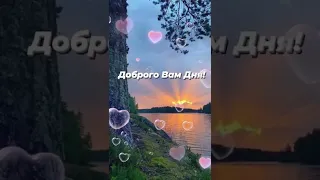 Доброго Мирного Дня!🌿🌺🕊