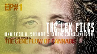 Dr. Anna Schwabe & the Gene Flow of Cannabis | The Lex Files