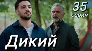 Дикий 35 серия на русском языке. Новый турецкий сериал. Анонс