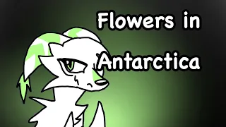 Flowers in Antarctica meme ||Laima||