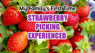 First Time nag STRAWBERRY PICKING @LA TRINIDAD BENGUET | Trip to Baguio City Part 2 | Lerah Negre