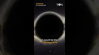 Is Planet 9 a Black Hole? COSMOS in a minute #27