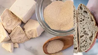घर में खमीर बनायें instant dry yeast powder recipe in hindi