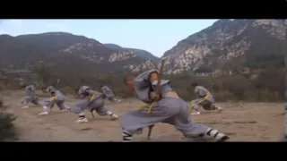 The real shaolin kung fu