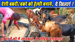 देशी बकरे और बकरी को हेल्थी बनाने क्या खिलाएं? Deshi Bakre/ Bakri Ko Healthy Banane kya khilanyen?